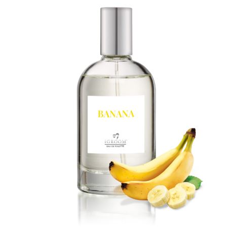 iGroom Banana Perfume 100 ml l PBA1